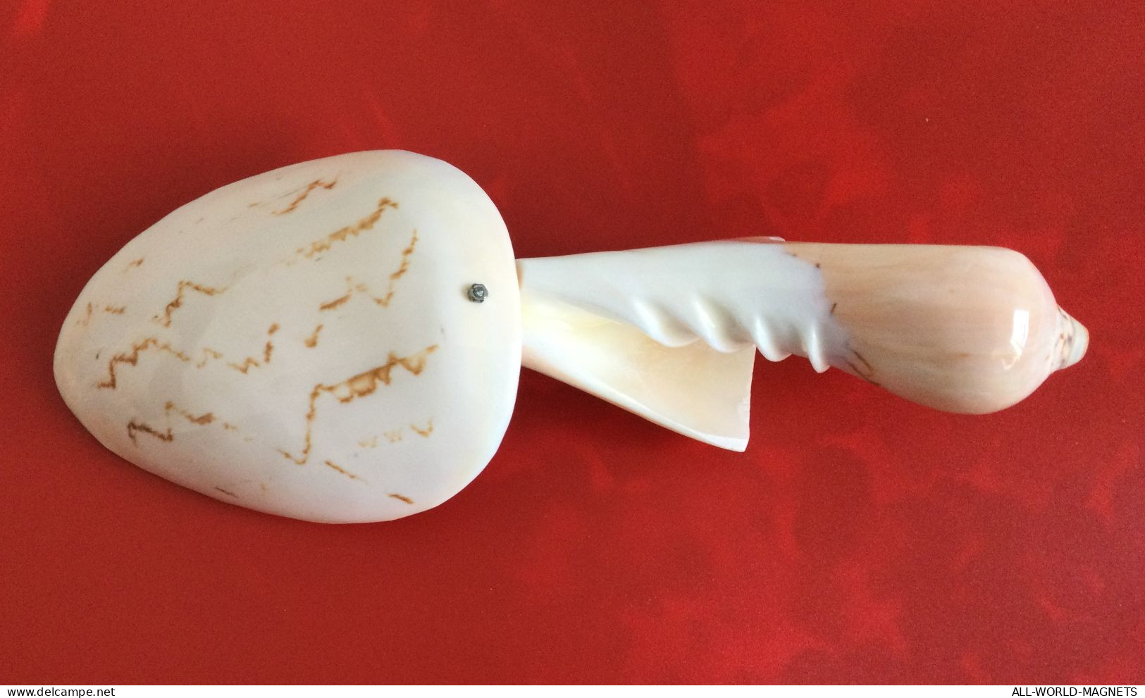 Tonga Handmade Decorative Seashells Conchs Shells Tablespoon Souvenir, from Tonga