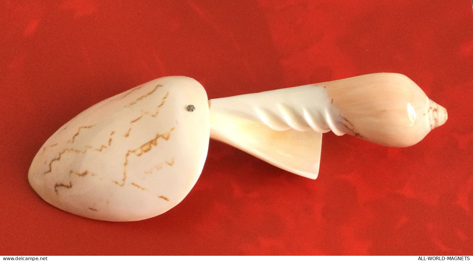 Tonga Handmade Decorative Seashells Conchs Shells Tablespoon Souvenir, from Tonga