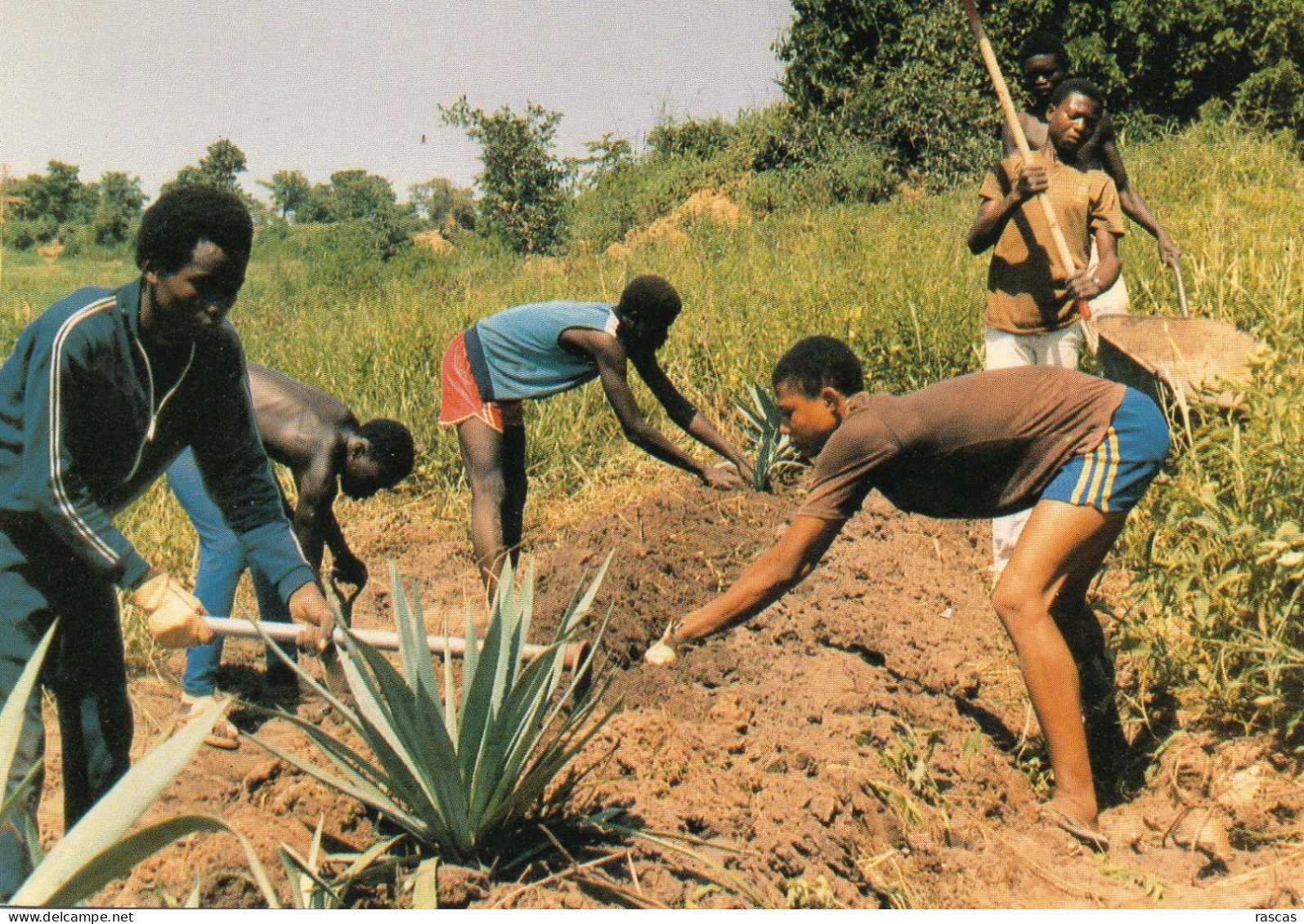 CPM - L - TCHAD - LYCEENS DE SARH - Tchad