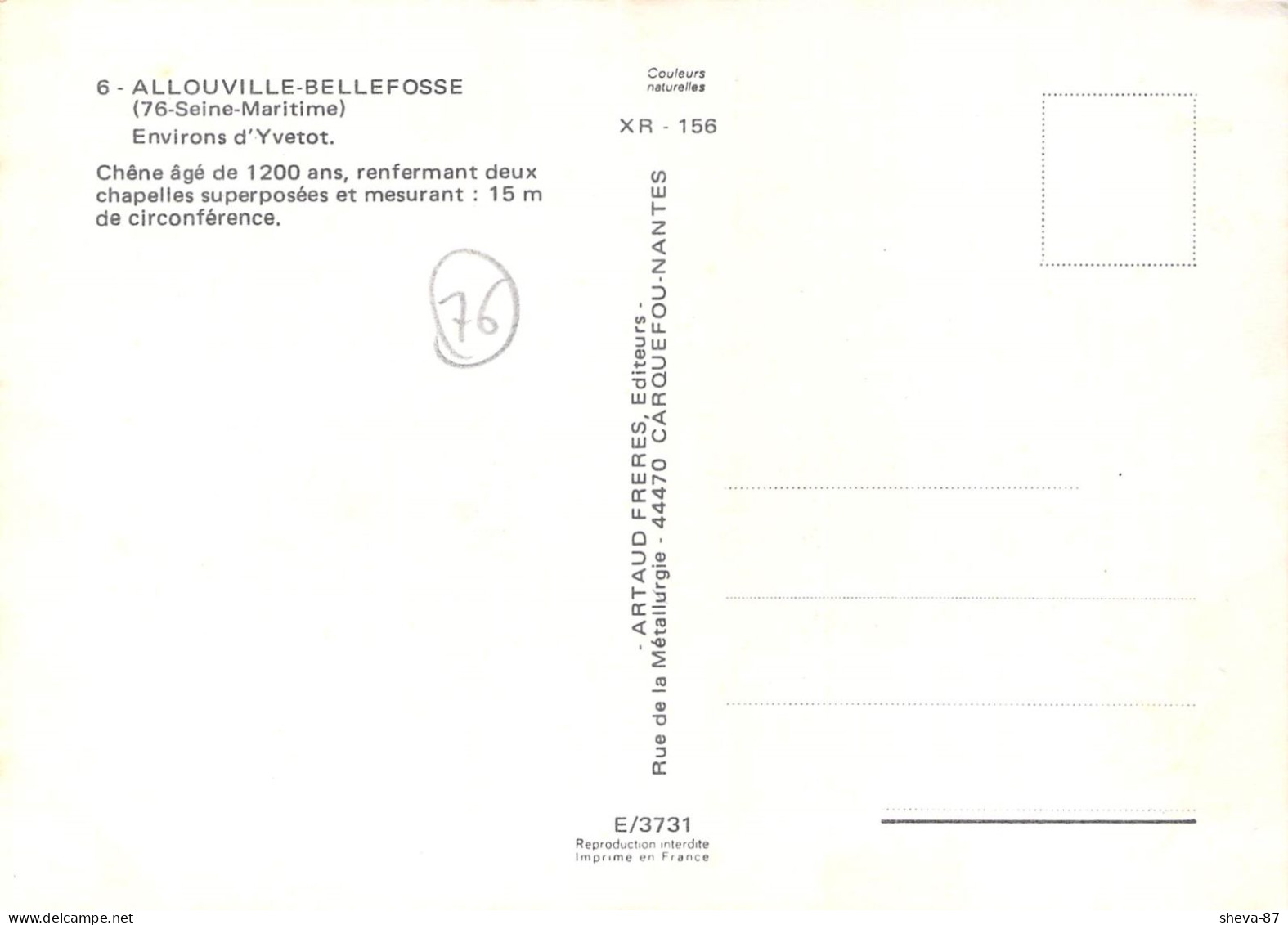 76 - Allouville Bellefosse - Chêne De 1200 Ans - Allouville-Bellefosse