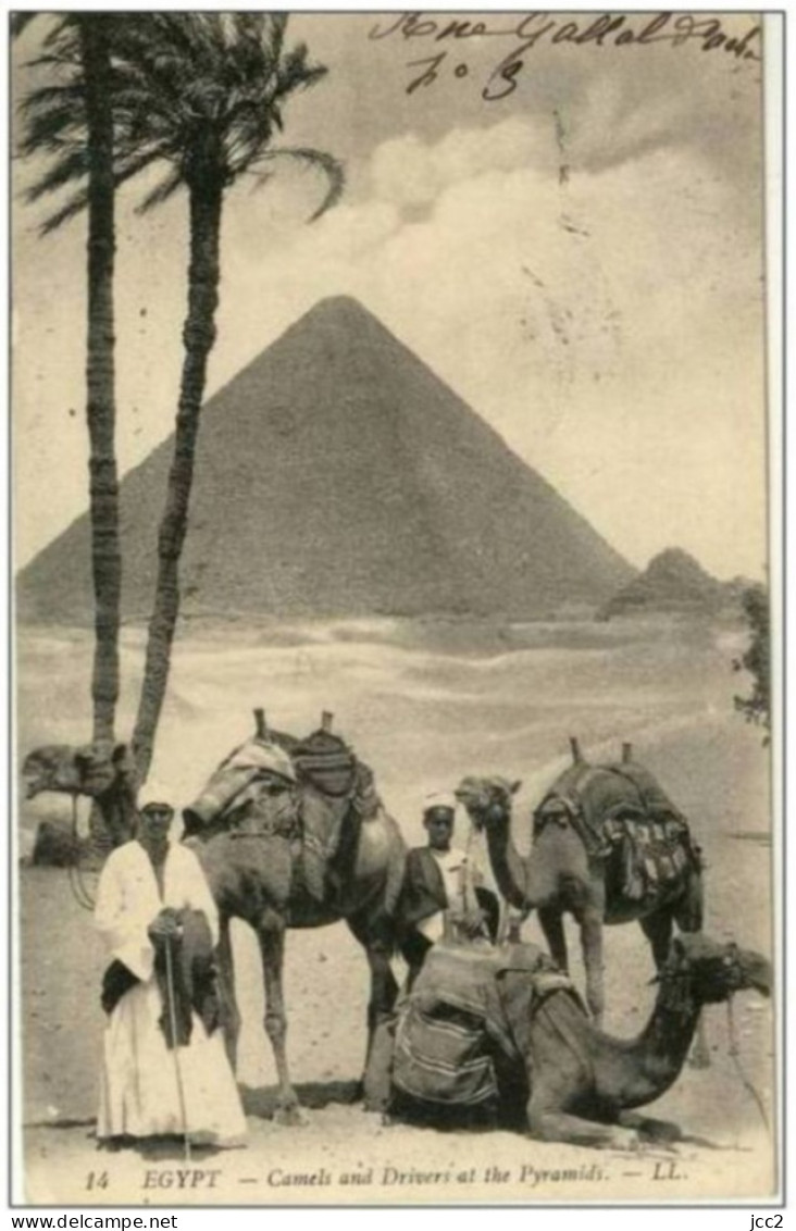 EGYPTE-Camels And Drivers At The Pyramids (Pyramides _ Chameaux) - Pyramiden