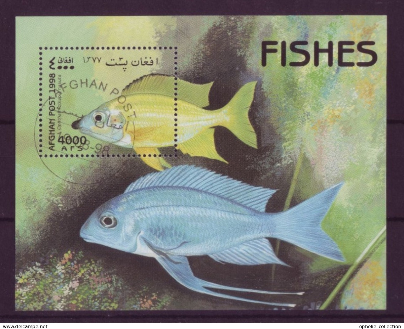 Asie - Afghanistan - 1998 BLF - Fishes - 5763 - Afghanistan