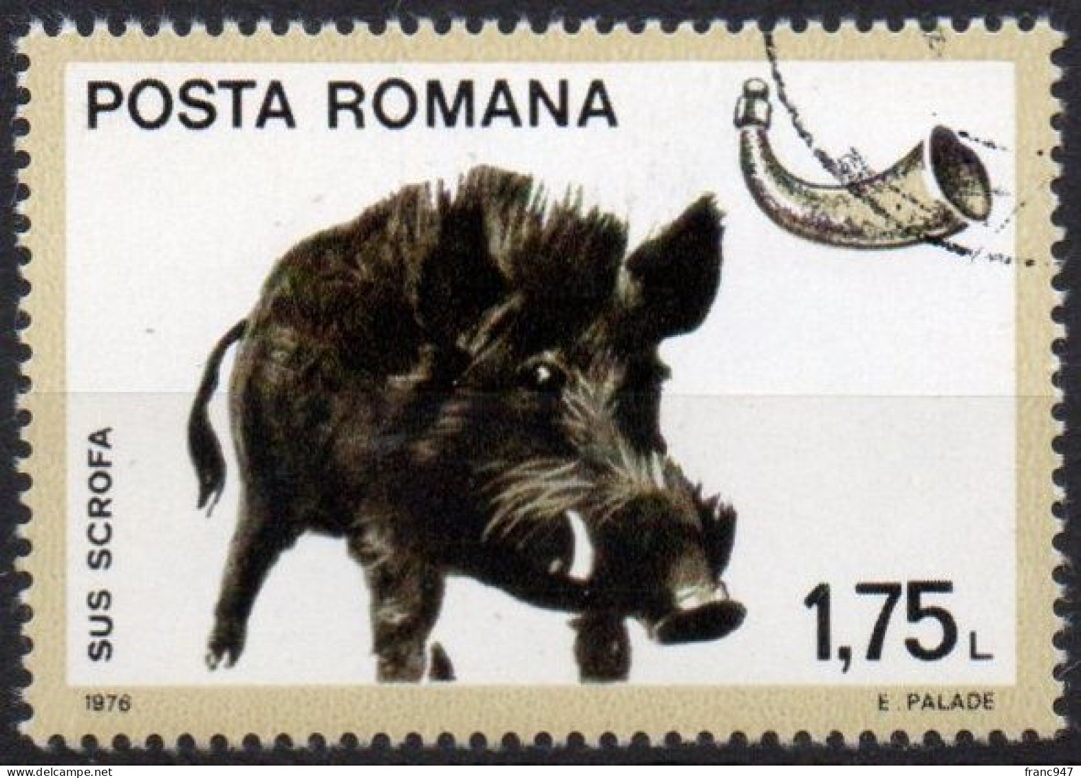 ROMANIA - 1976 Cinghiale CTO - Gebruikt