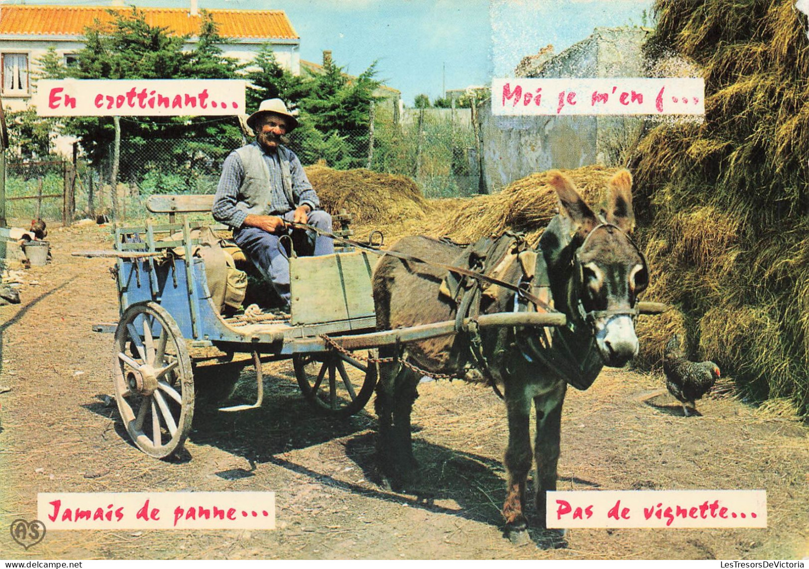 METIERS - Paysans - En Crottinant - Jamais De Panne - Pas De Vignette - Charette Tirée Par Un âne - Carte Postale - Bauern