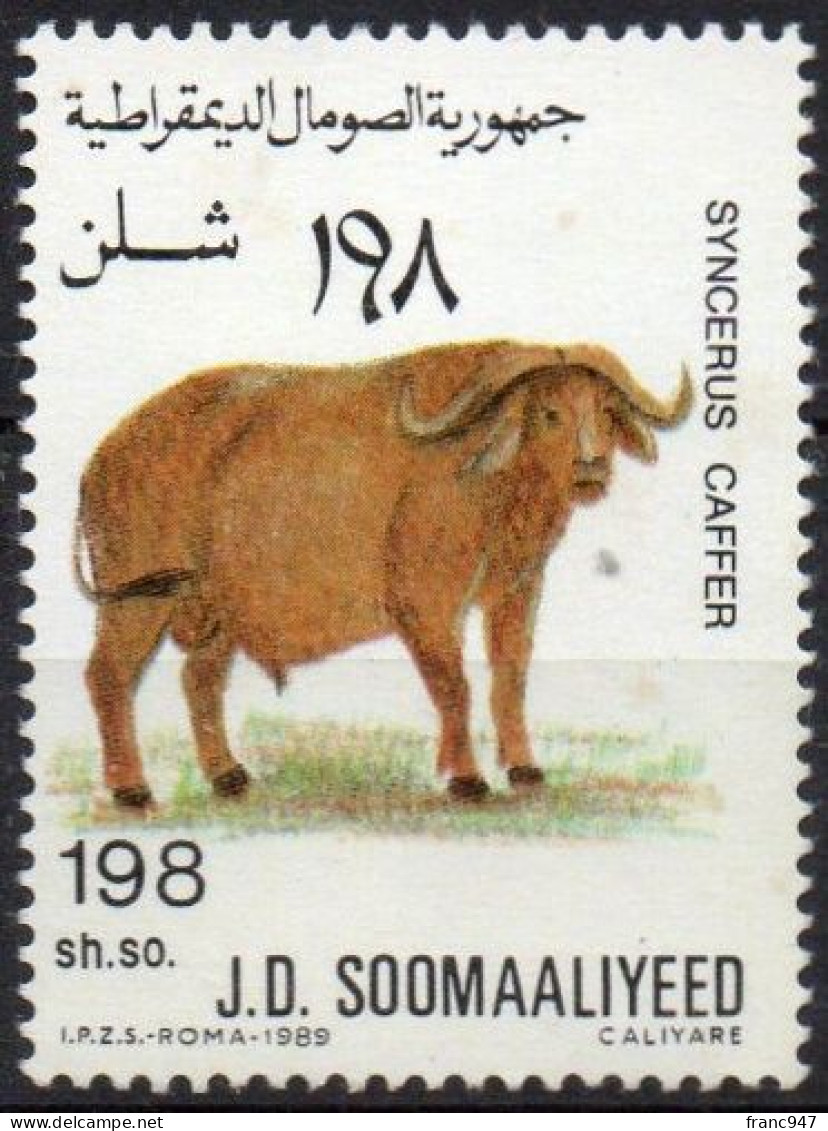 SOMALIA - 1989 Buffalo (Syncerus Caffer)  NUOVO MNH - Koeien