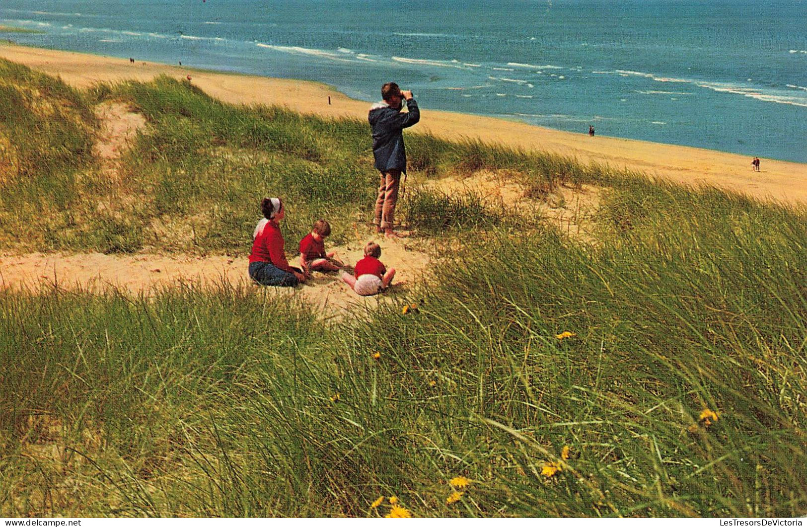 SCÈNES & PAYSAGES - Plage - Vue D'ensemble - Carte Postale Récente - Szenen & Landschaften