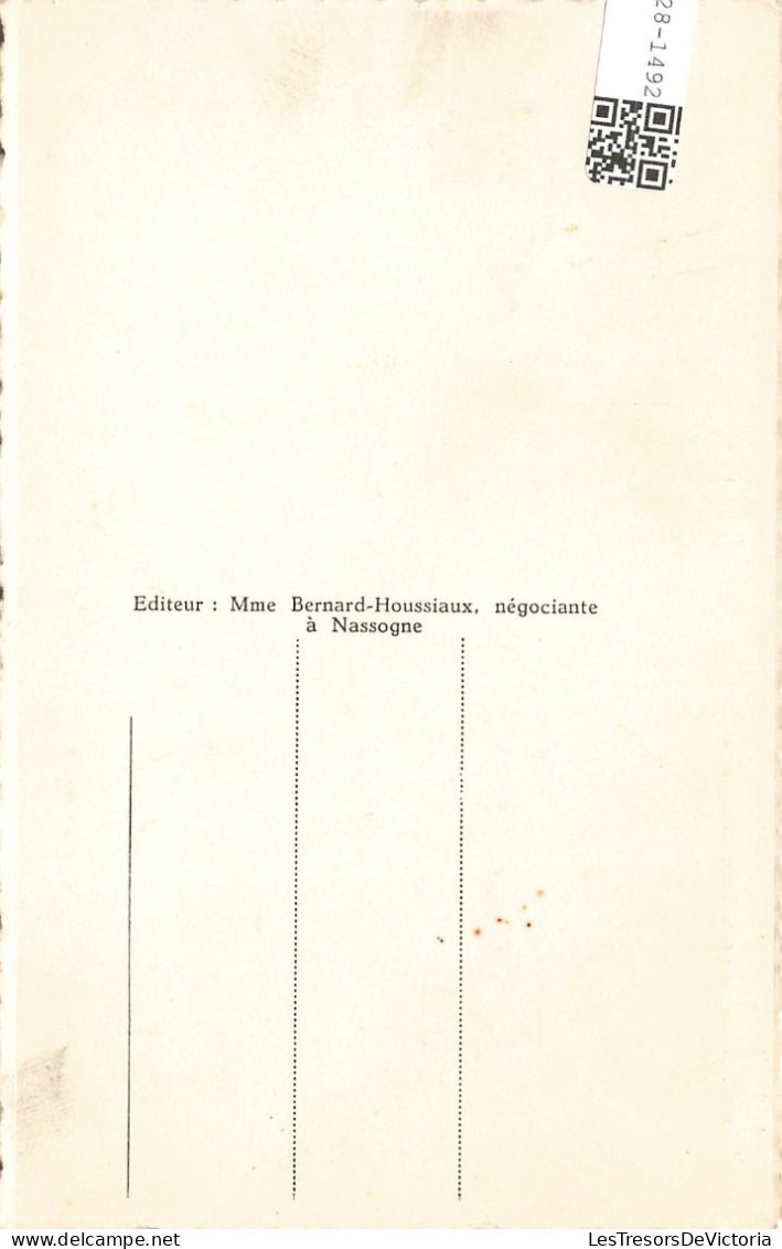 BELGIQUE - Nassogne En Ardenne - Panorama - Carte Postale Ancienne - Nassogne