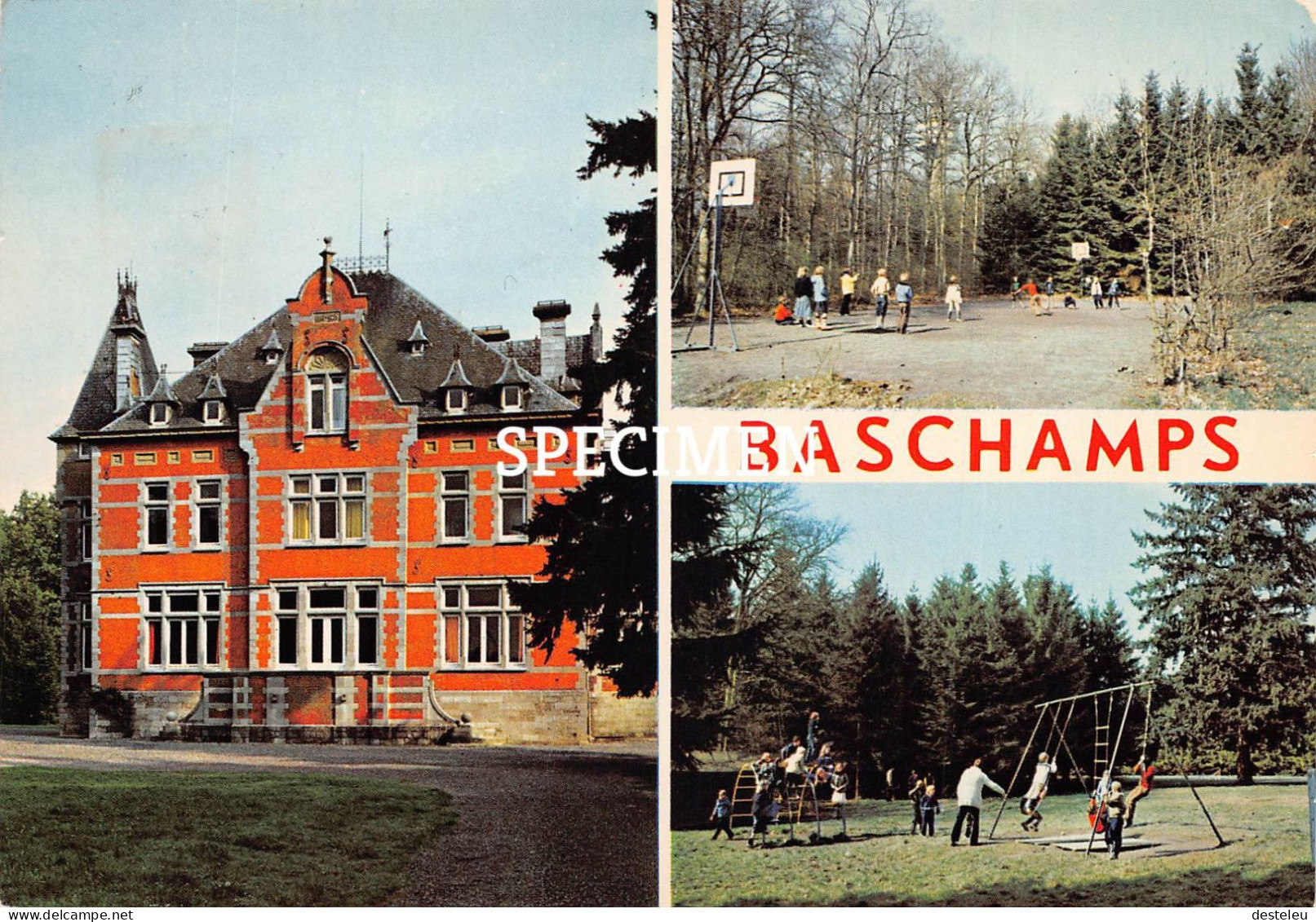 Château De Baschamps - Marche-en-Famenne - Marche-en-Famenne