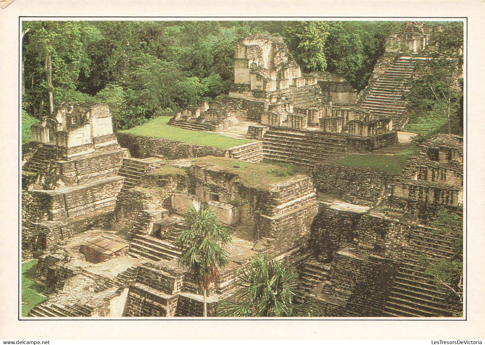 GUATEMALA -  L'ancienne Métropole Des Mayas - Colorisé - Carte Postale - Guatemala
