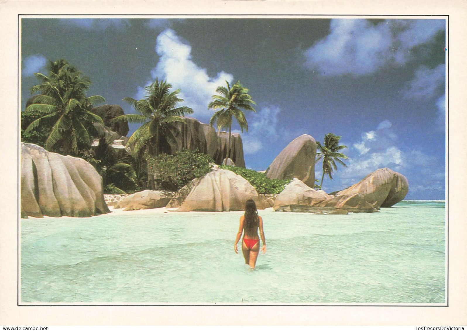 SEYCHELLES - Le Ruisseau Royal - Colorisé - Carte Postale - Seychellen