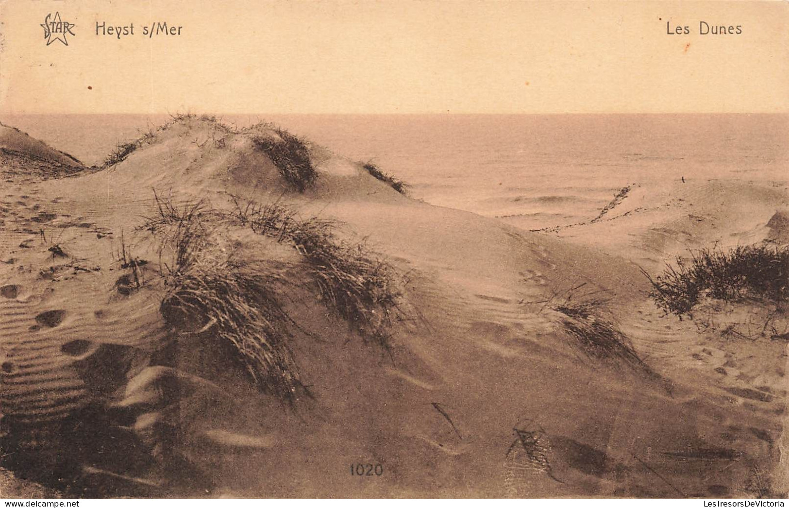 BELGIQUE - Heyst Sur Mer - Les Dunes - Carte Postale Ancienne - Heist