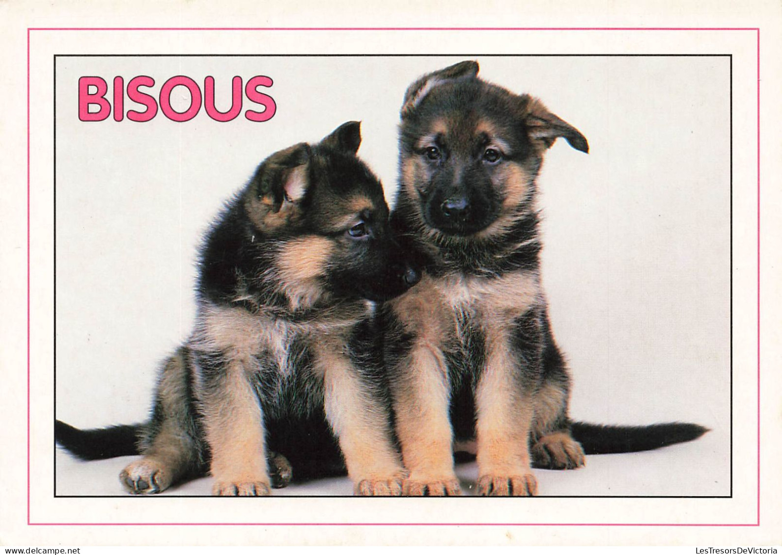 ANIMAUX ET FAUNE - Deux Petits Chiots - Bisous - Colorisé - Carte Postale - Perros