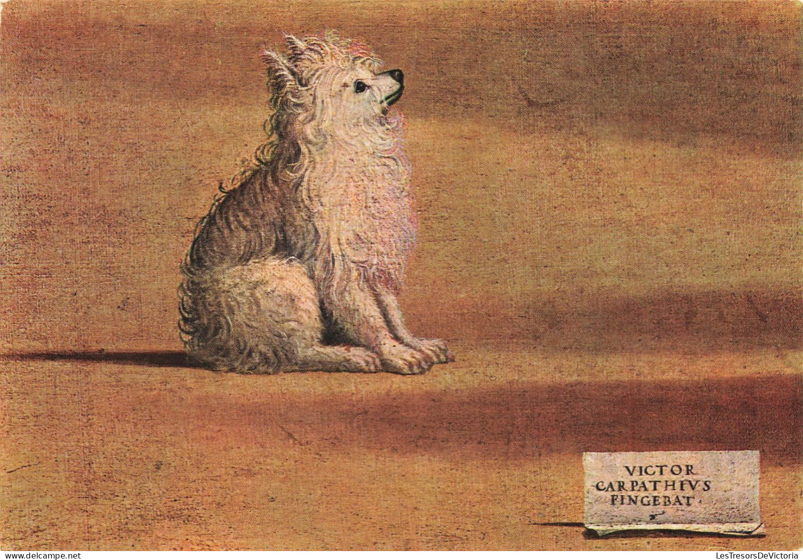ANIMAUX ET FAUNE - Ma Chienne Tulip - Colorisé - Carte Postale - Dogs