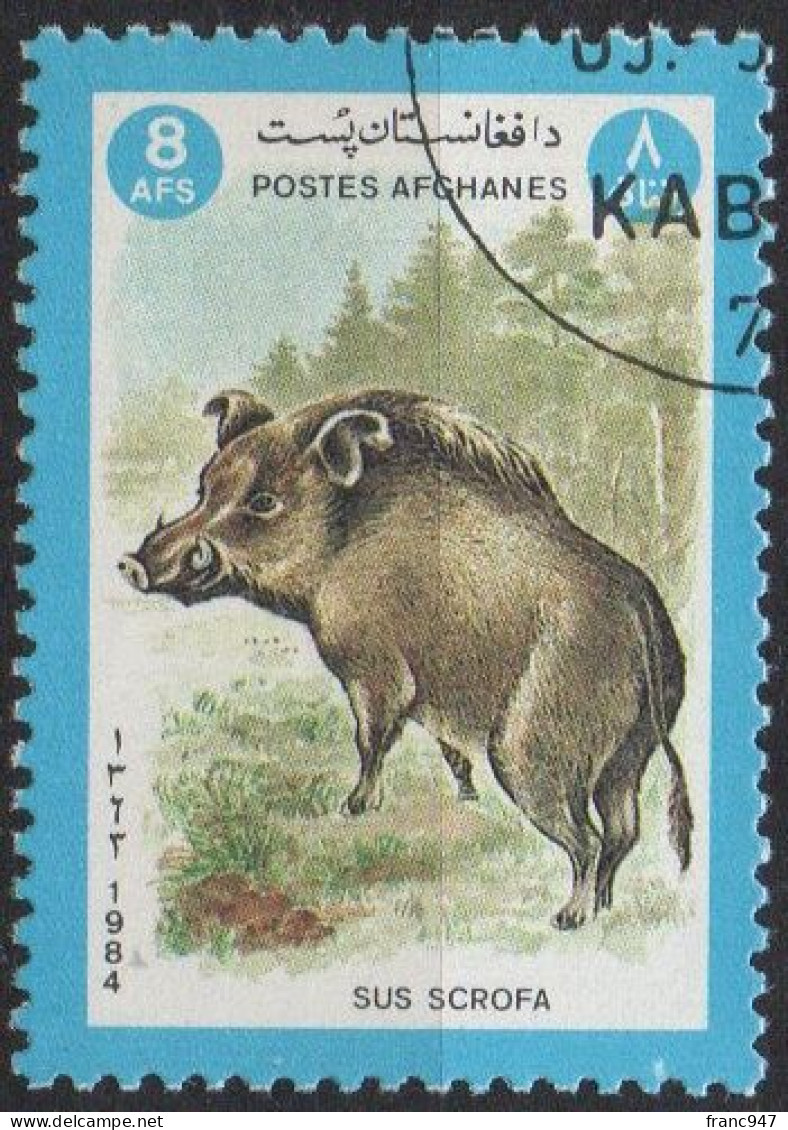 AFGHANISTAN, 1984 Wild Boar (Sus Scrofa) CTO - Afghanistan