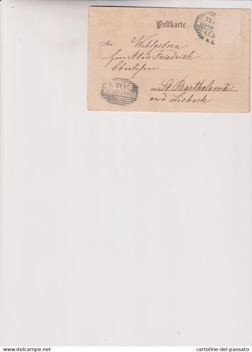 GRATWEIN  GLUCKLICHES NEUES JAHR  1902 - Gratwein