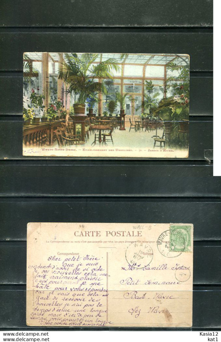 K18480)Ansichtskarte: Wavre-Notre-Dame, Jardin D` Hiver, Gelaufen 1909 - Wavre