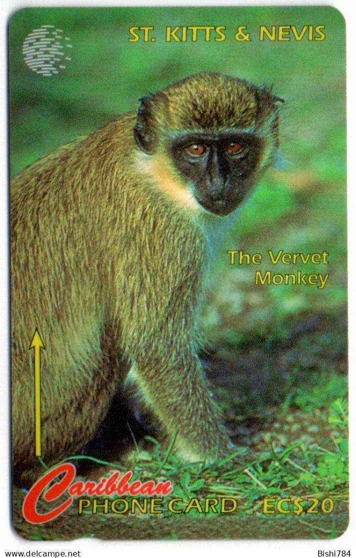 St. Kitts & Nevis - The Vervet Monkey - 176CSKA - St. Kitts & Nevis