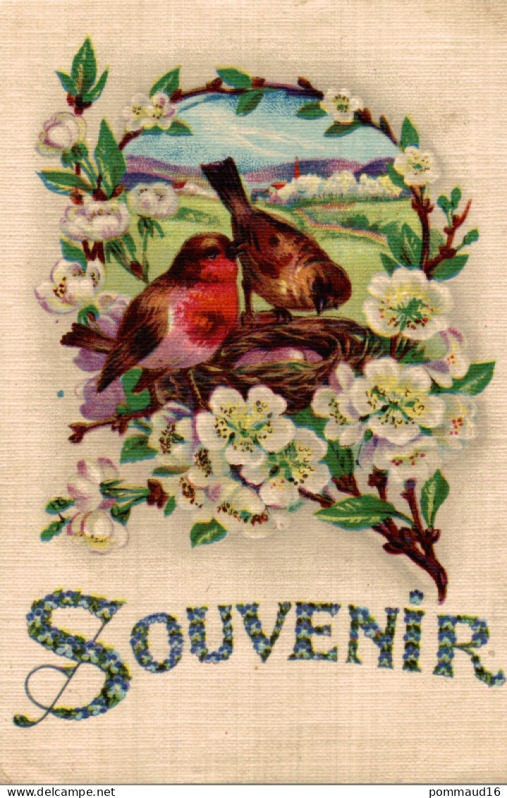 CPSM Souvenir : Oiseaux, Nid, Fleurs - Saluti Da.../ Gruss Aus...