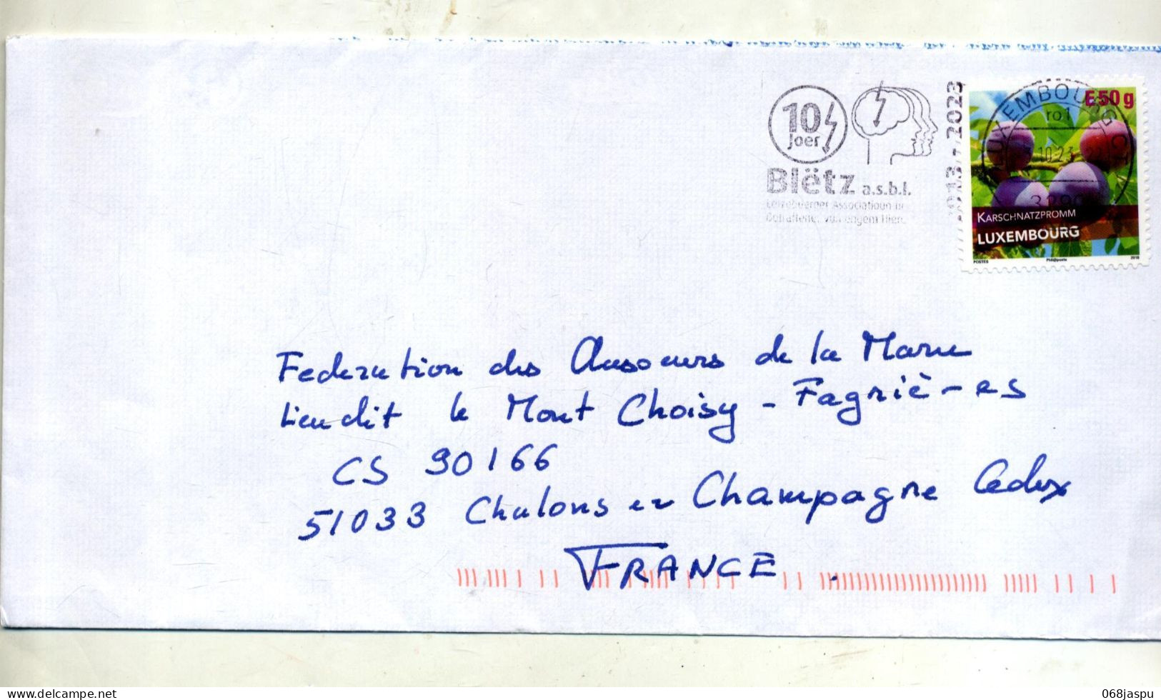 Lettre Flamme Luxembourg Bletz 10 Ans Cerveau Sur  Prune - Cartas & Documentos