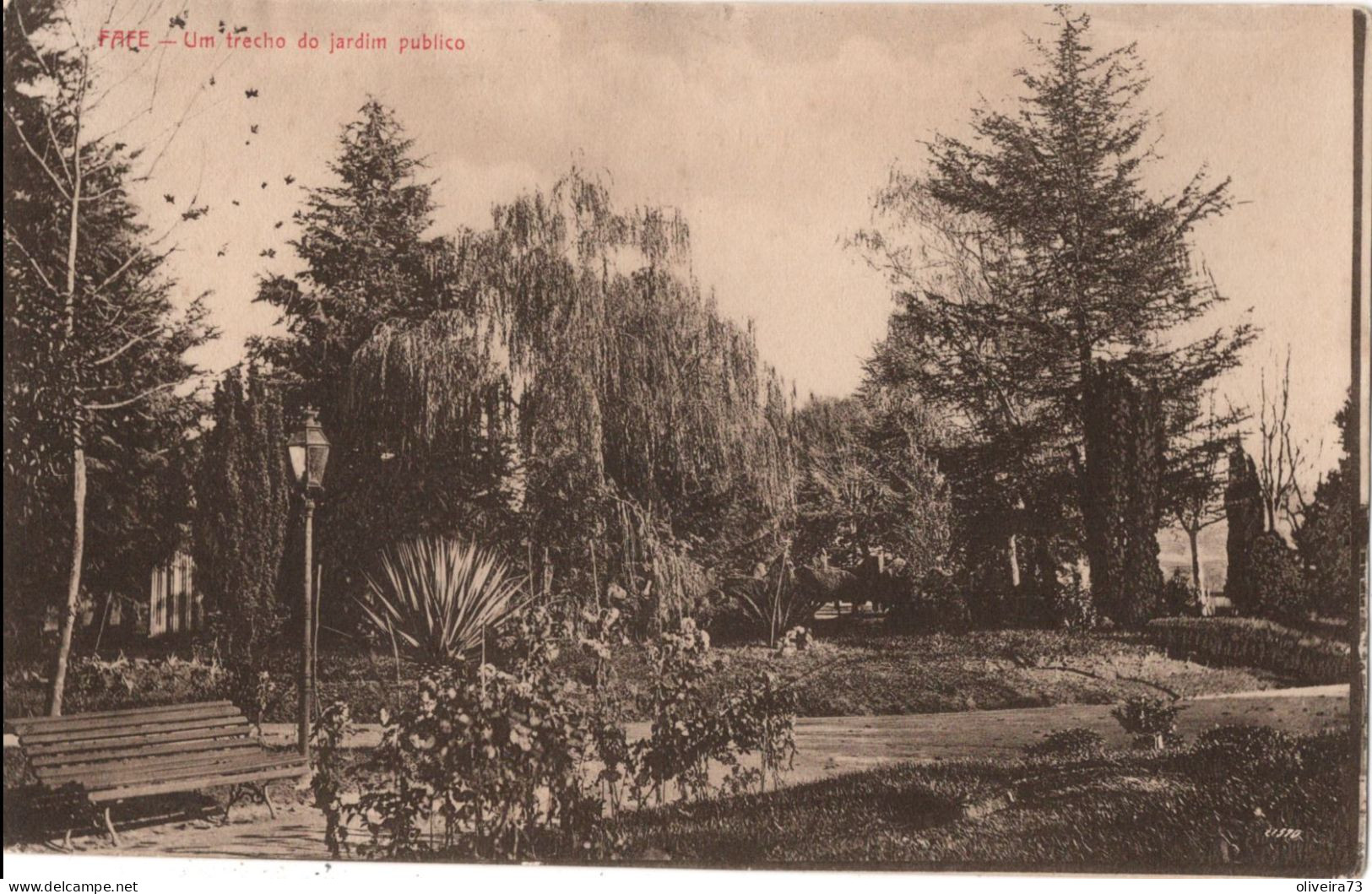 FAFE - Um Trecho Do Jardim Publico - PORTUGAL - Guarda