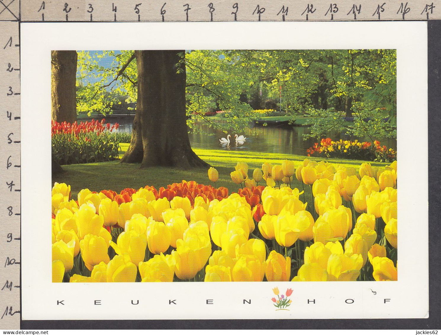 109282GF/ LISSE, Keukenhof  - Lisse