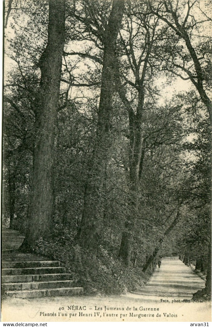 N E R A C     ( LOT Et GARONNE )  -  LES JUMEAUX De LA GARENNE - - Árboles