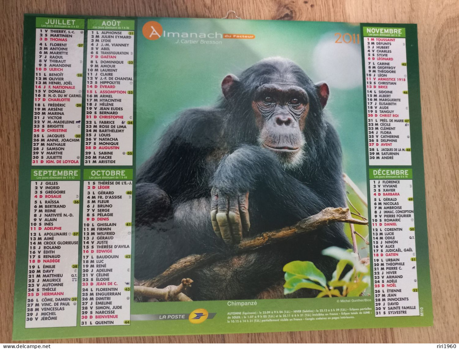 Almanach Du Facteur. Éléphant. Chimpanzé. - Tamaño Grande : 2001-...
