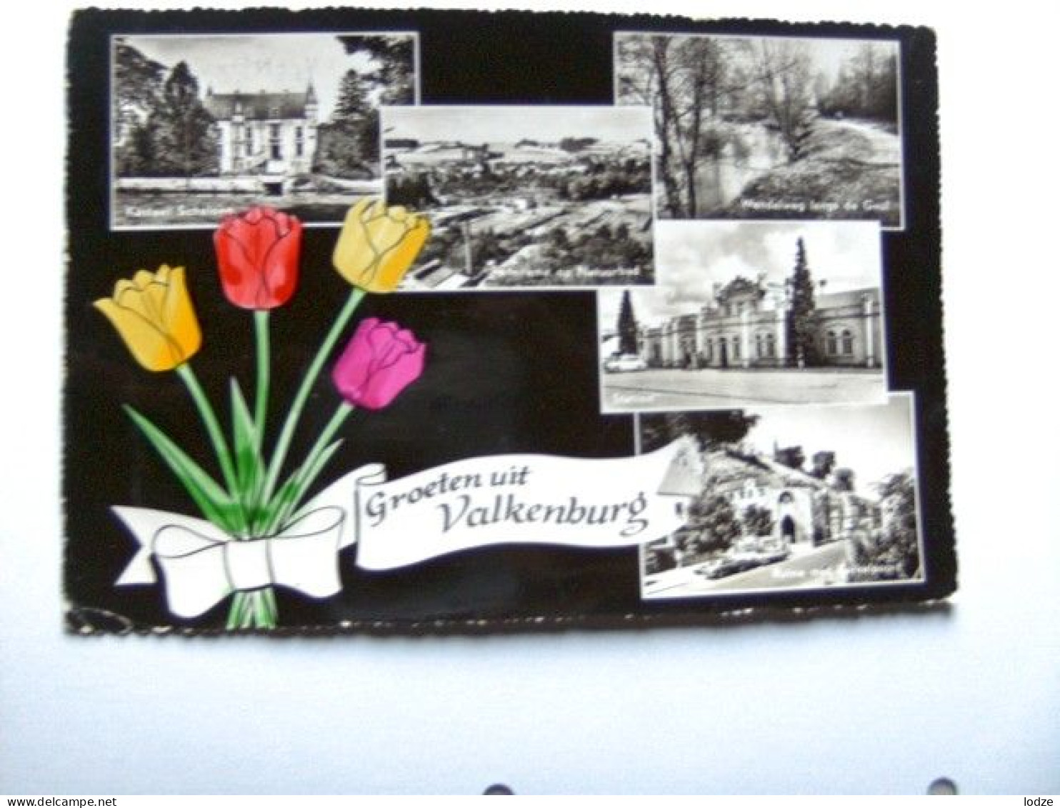 Nederland Holland Pays Bas Valkenburg 5-Luik Met Tulpen - Valkenburg