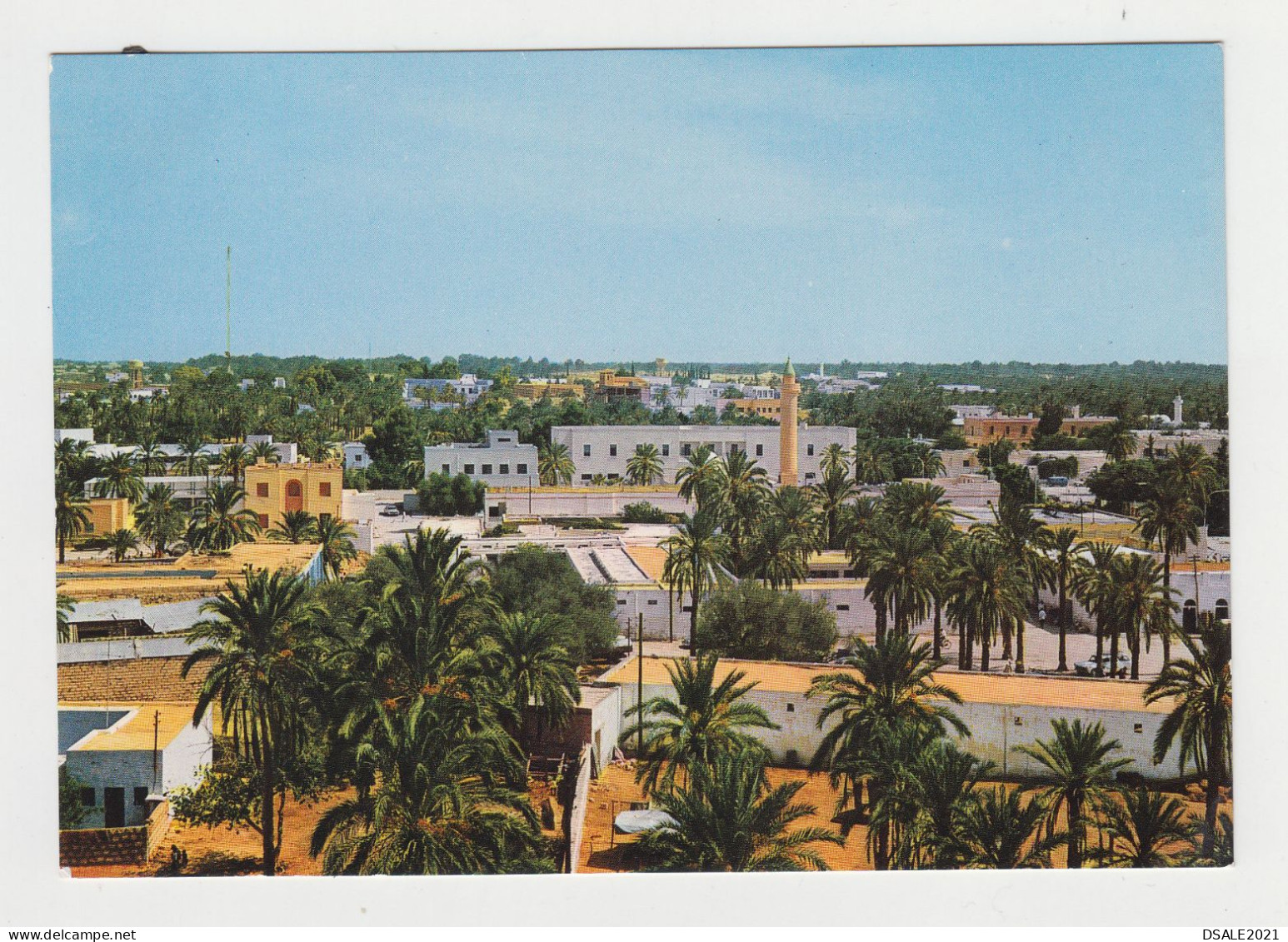 Libya Libia Libye ZAVIA General View, Buildings, Mosque Minaret, Vintage Photo Postcard RPPc (16466) - Libia