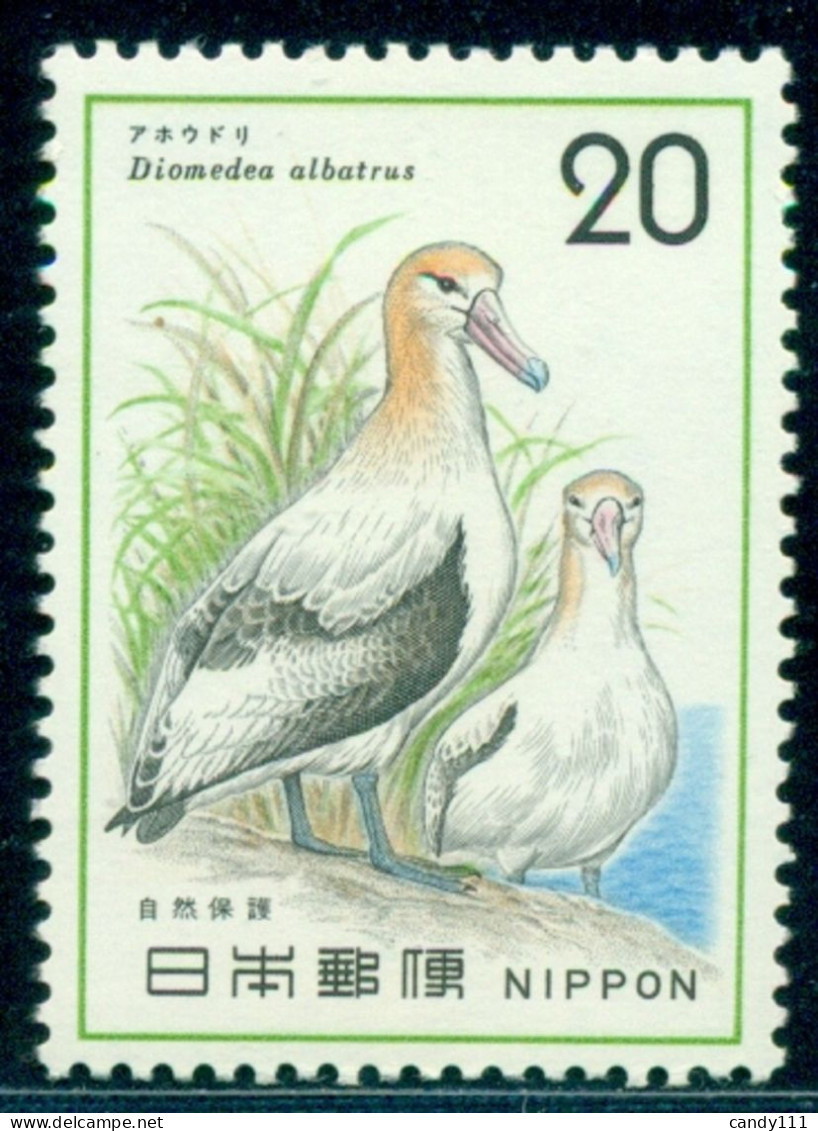 1975 Birds,Short-tailed Albatross,Nature Protection,Japan, Mi.1237,MNH - Marine Web-footed Birds