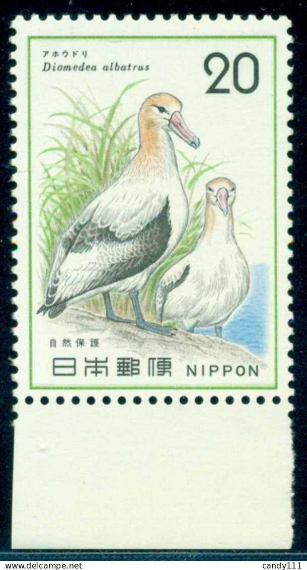 1975 Birds,Short-tailed Albatross,Nature Protection,Japan, Mi.1237, MNH - Marine Web-footed Birds