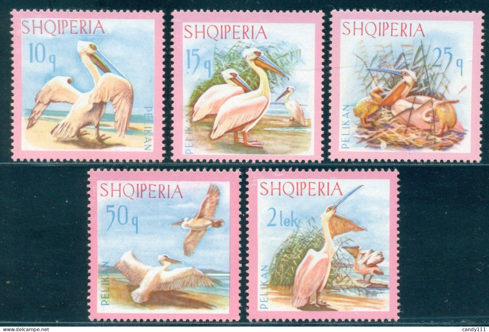 1967 Birds,Dalmatian Pelican,Pelecanus Crispus,nest,Albania, Mi.1138, MNH - Pélicans