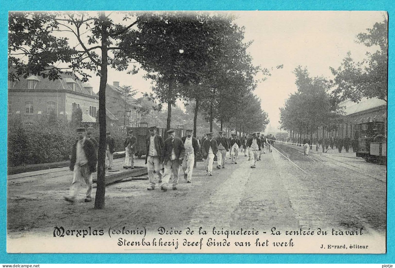 * Merksplas - Merxplas (Antwerpen - Anvers) * (J. Evrard) Colonie, Drève De La Briqueterie, Steenbakkerij, Tram, Rentrée - Merksplas