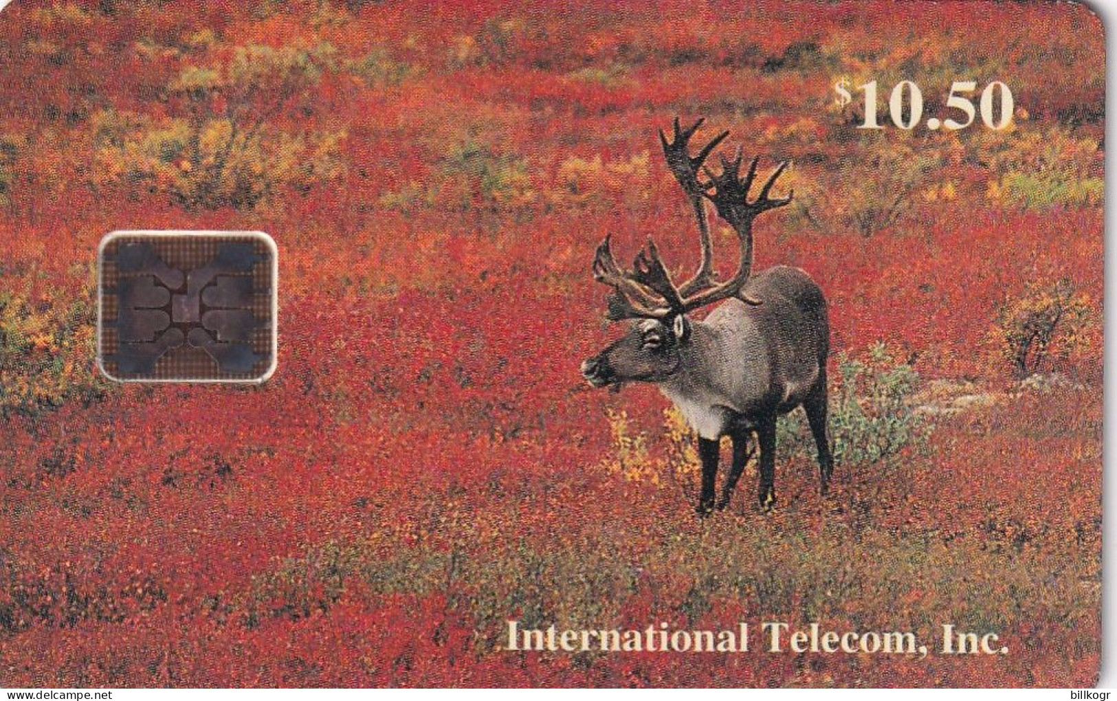 ALASKA - Bull Caribou In Fall, Tirage 4000, 11/93, Mint - Autres - Amérique