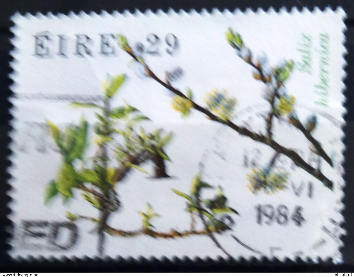 IRLANDE                     N° 537                      OBLITERE - Used Stamps