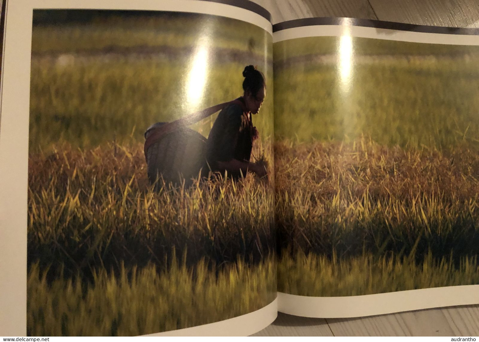 TRA LA GENTE - national geographic - i fotografi di national geographic nel mondo del lavoro - voyage avec les gens