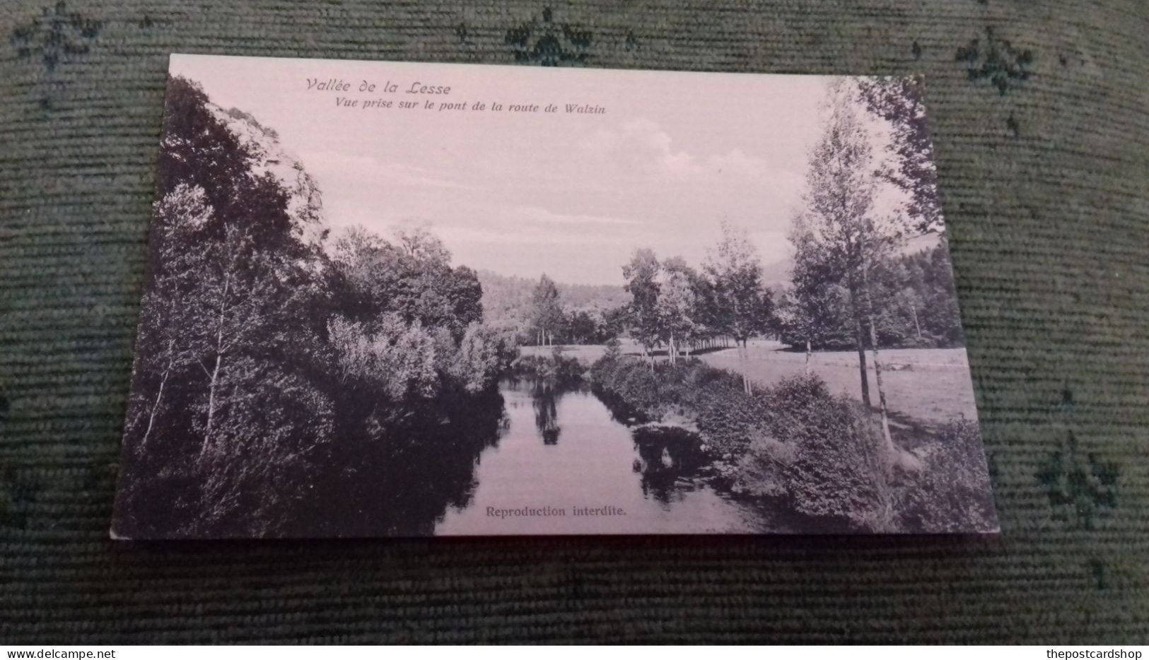 BELGIUM Vallée De La Lesse - Vue Prise Sur Le Pont De La Route De Walzin. UNUSED - Dinant