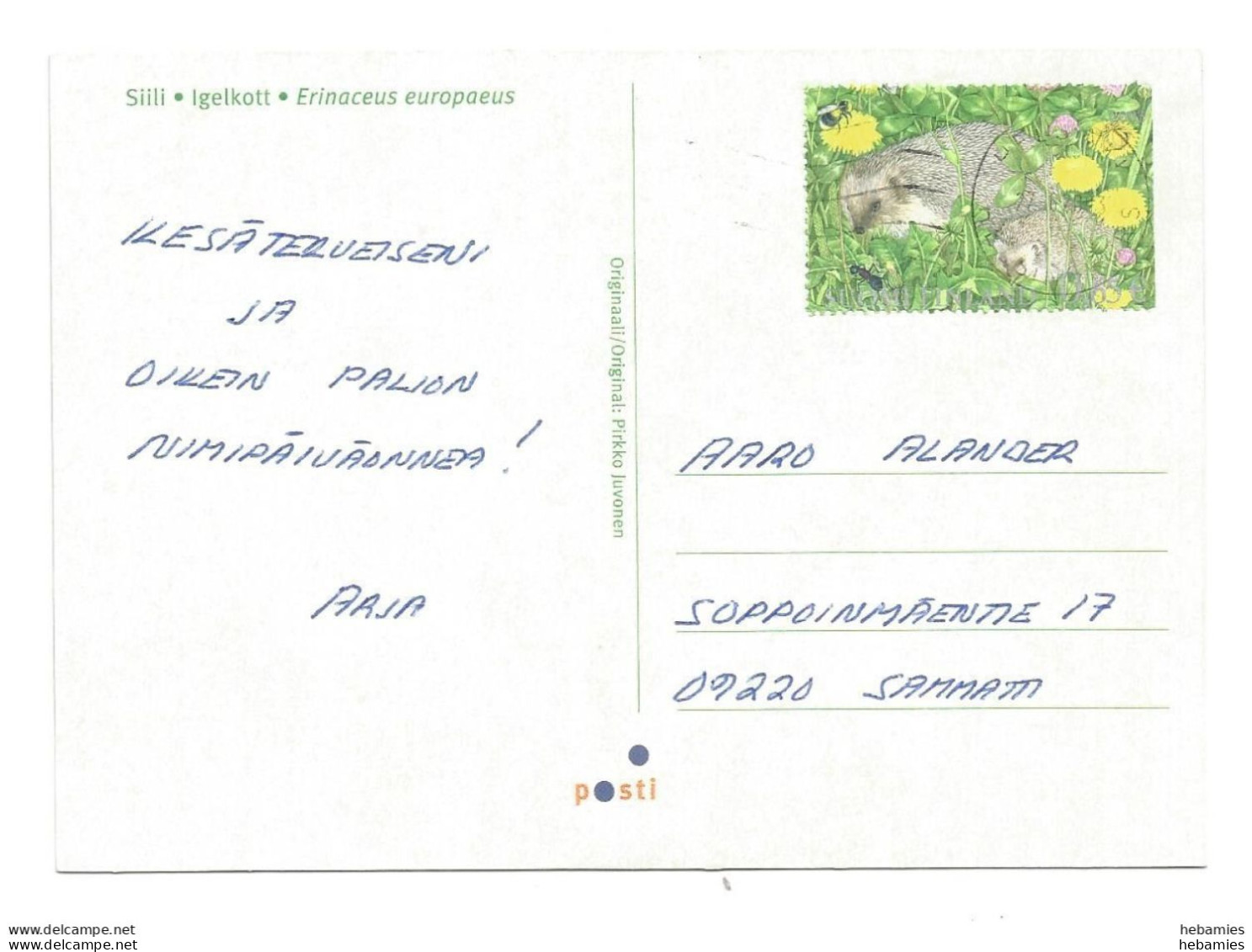 HEDGEHOG - With A Hedgehog Stamp - FINLAND - - Tarjetas – Máximo