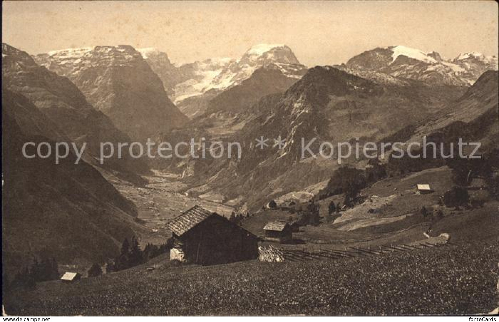 11758550 Braunwald GL Toedikette Braunwald - Sonstige & Ohne Zuordnung