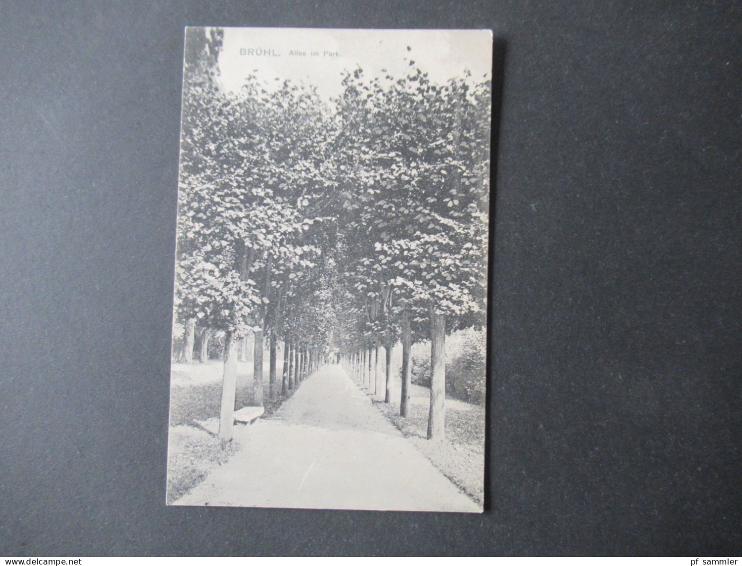 AK Deutsches Reich 1911  Brühl Allee Im Park Mit 2x Germania Als Auslands PK Nach Mons Bergen Belgien Mit Ank. Stempel - Bruehl