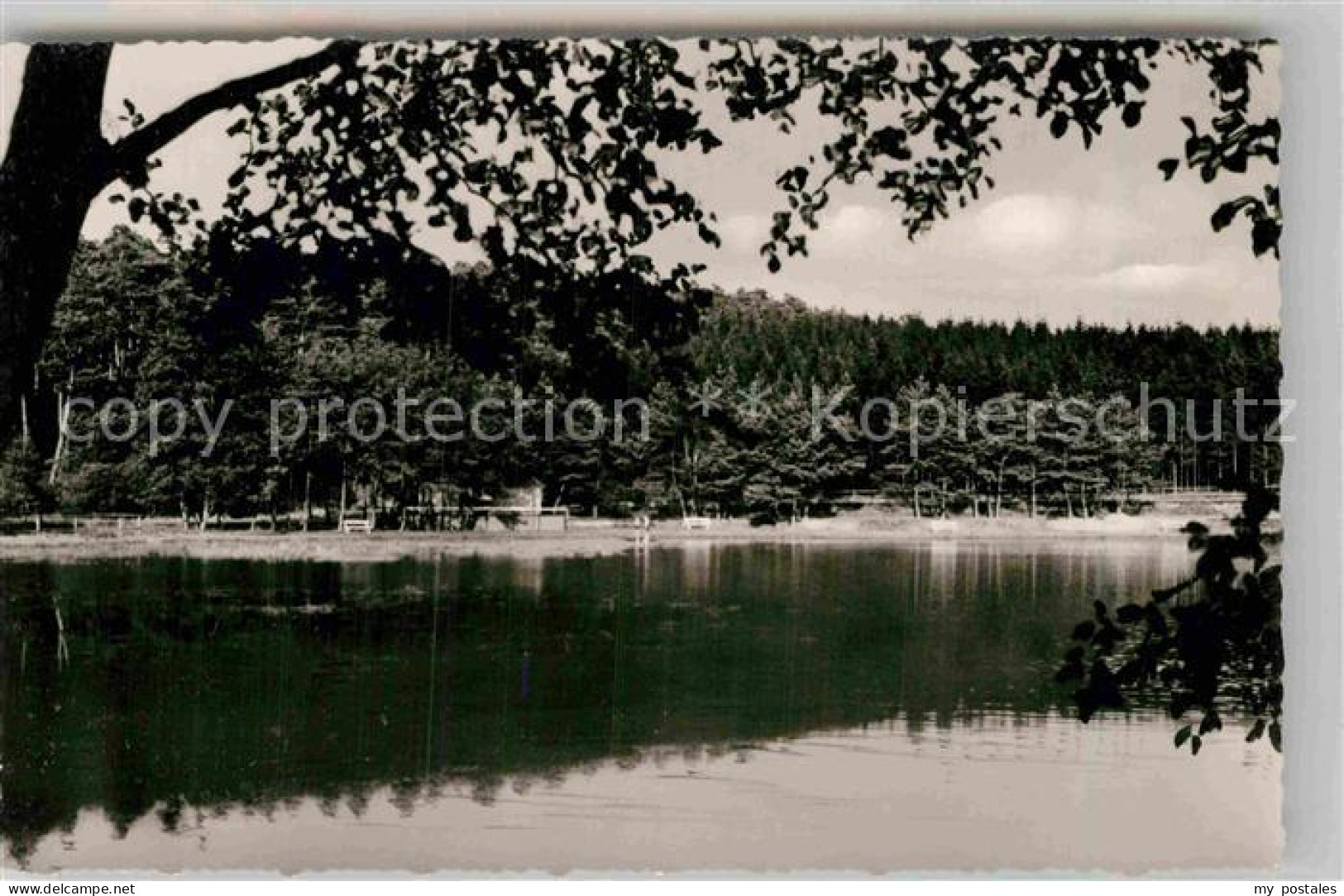 42907663 Usingen Hattstein Weiher Schwimmbad Usingen - Usingen