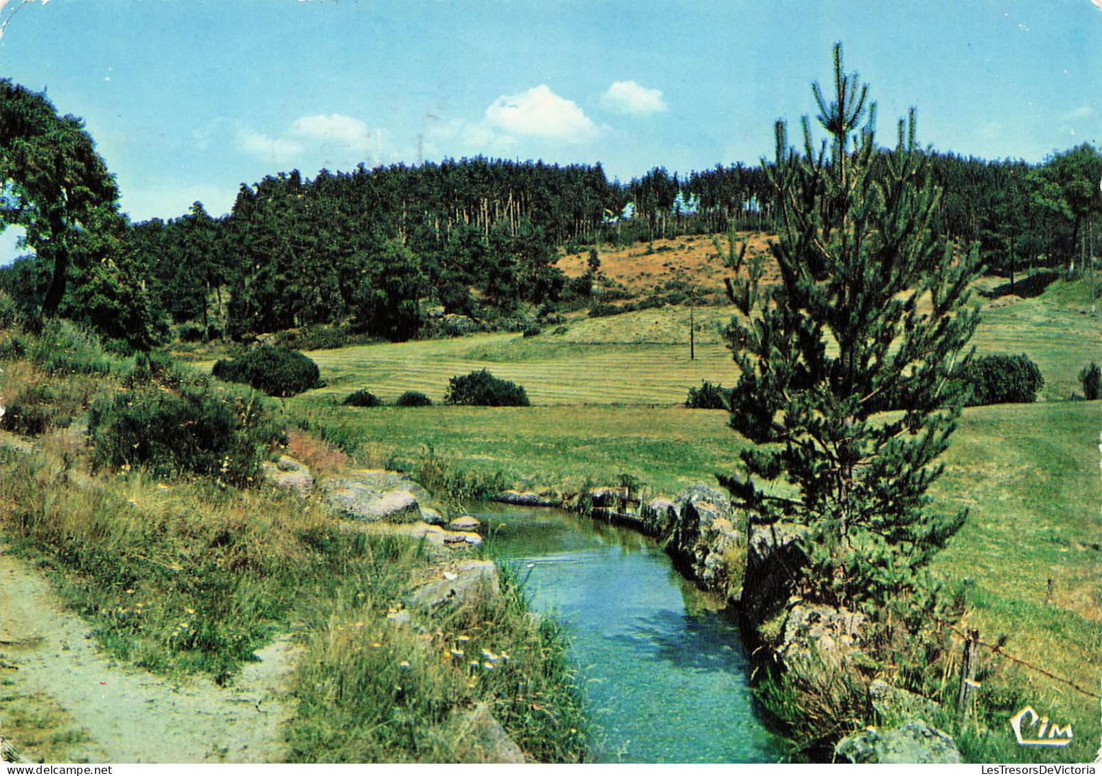 FRANCE - Un Coin De Lozère - Flâner - Les Beaux Sites De France - Ruisseau -Carte Postale - Andere & Zonder Classificatie