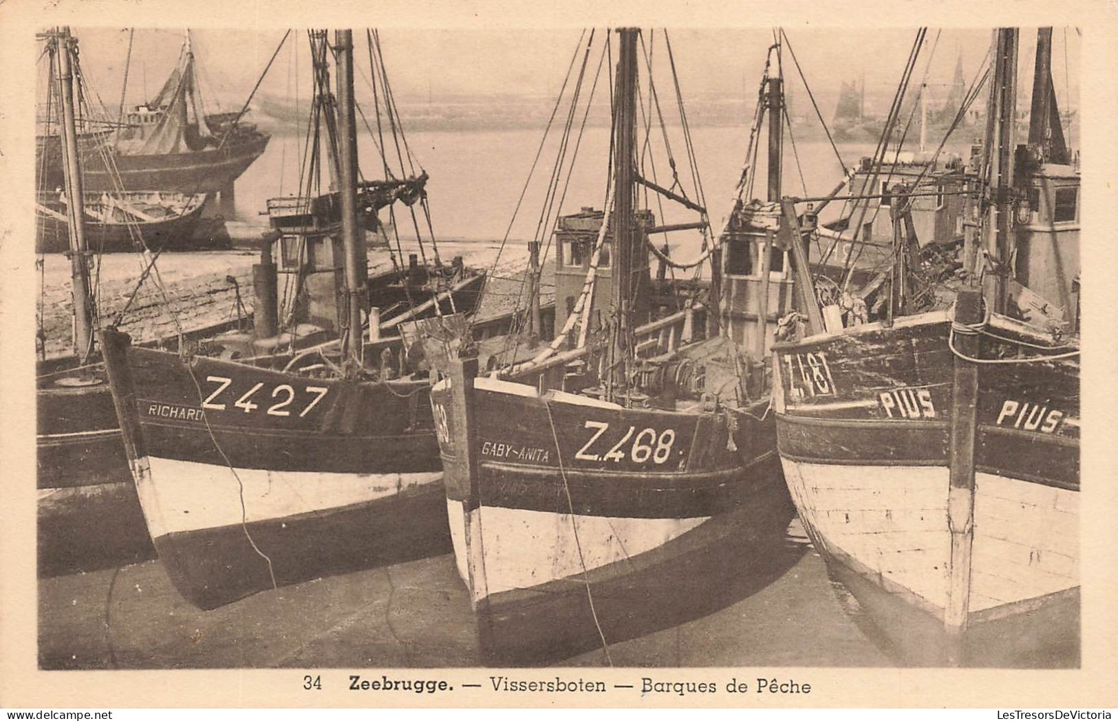 BELGIQUE - Zeebrugge - Vissersboten - Barques De Pêche - Carte Postale Ancienne - Zeebrugge
