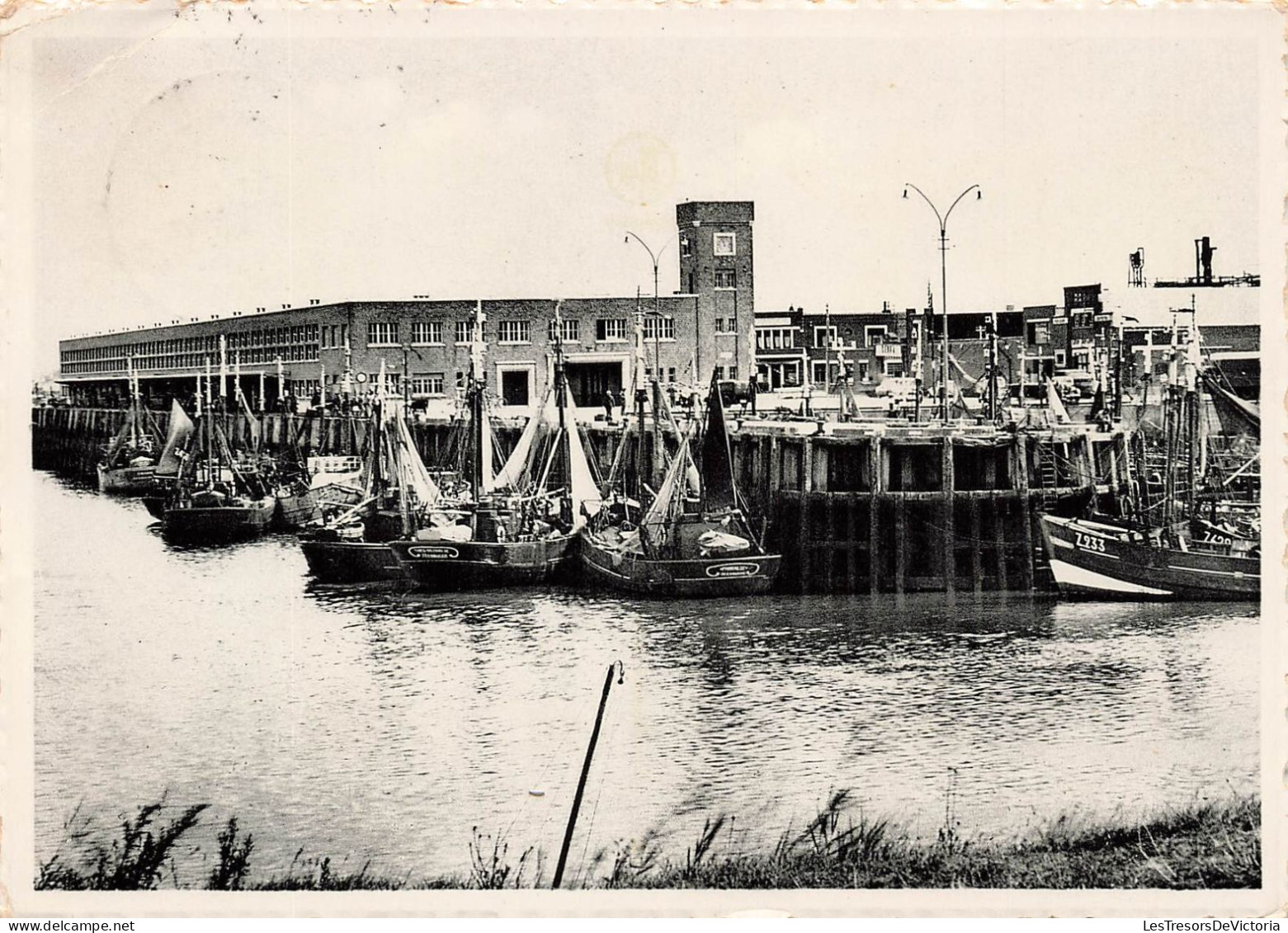 BELGIQUE - Zeebrugge - La Minque - Carte Postale - Zeebrugge