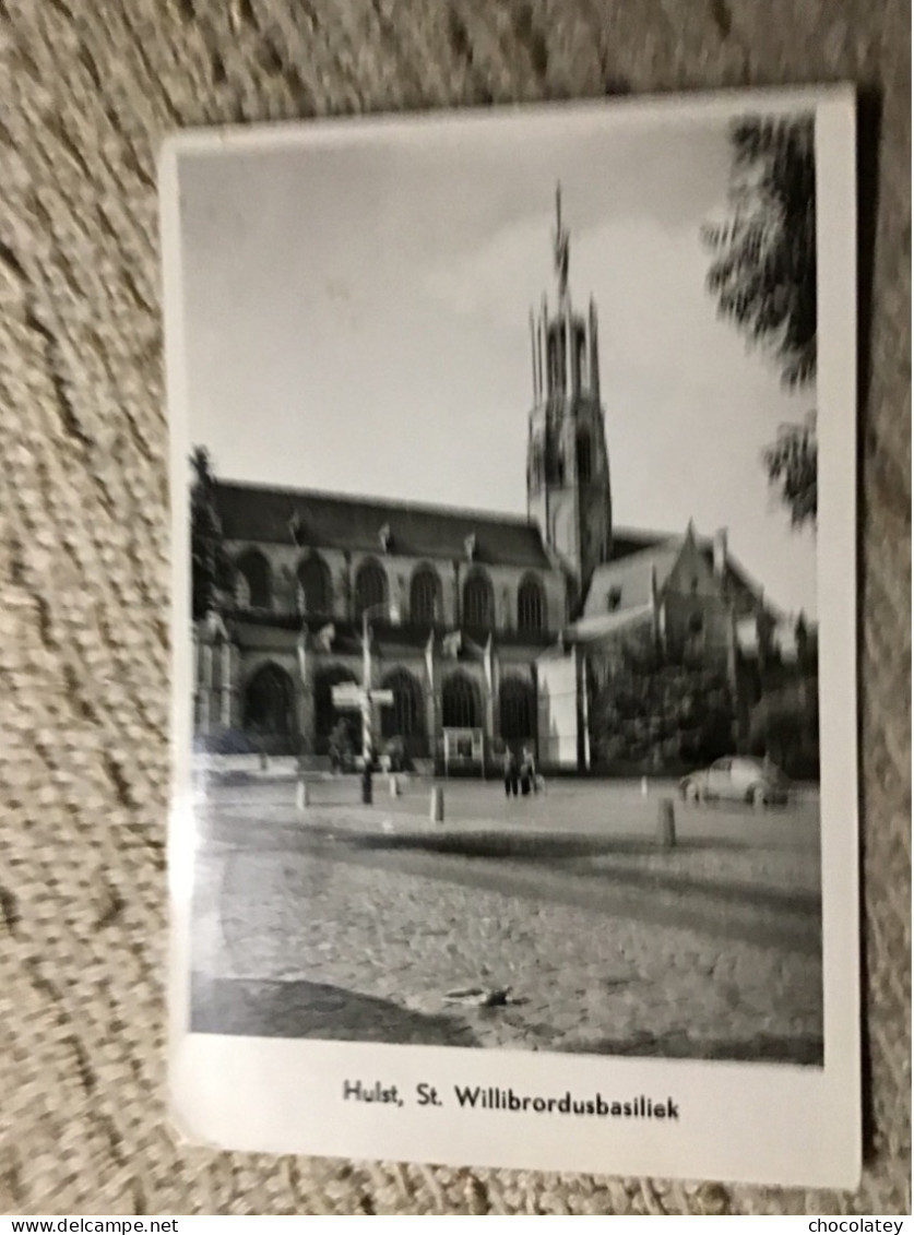 Hulst Basiliek Volkswagen - Hulst