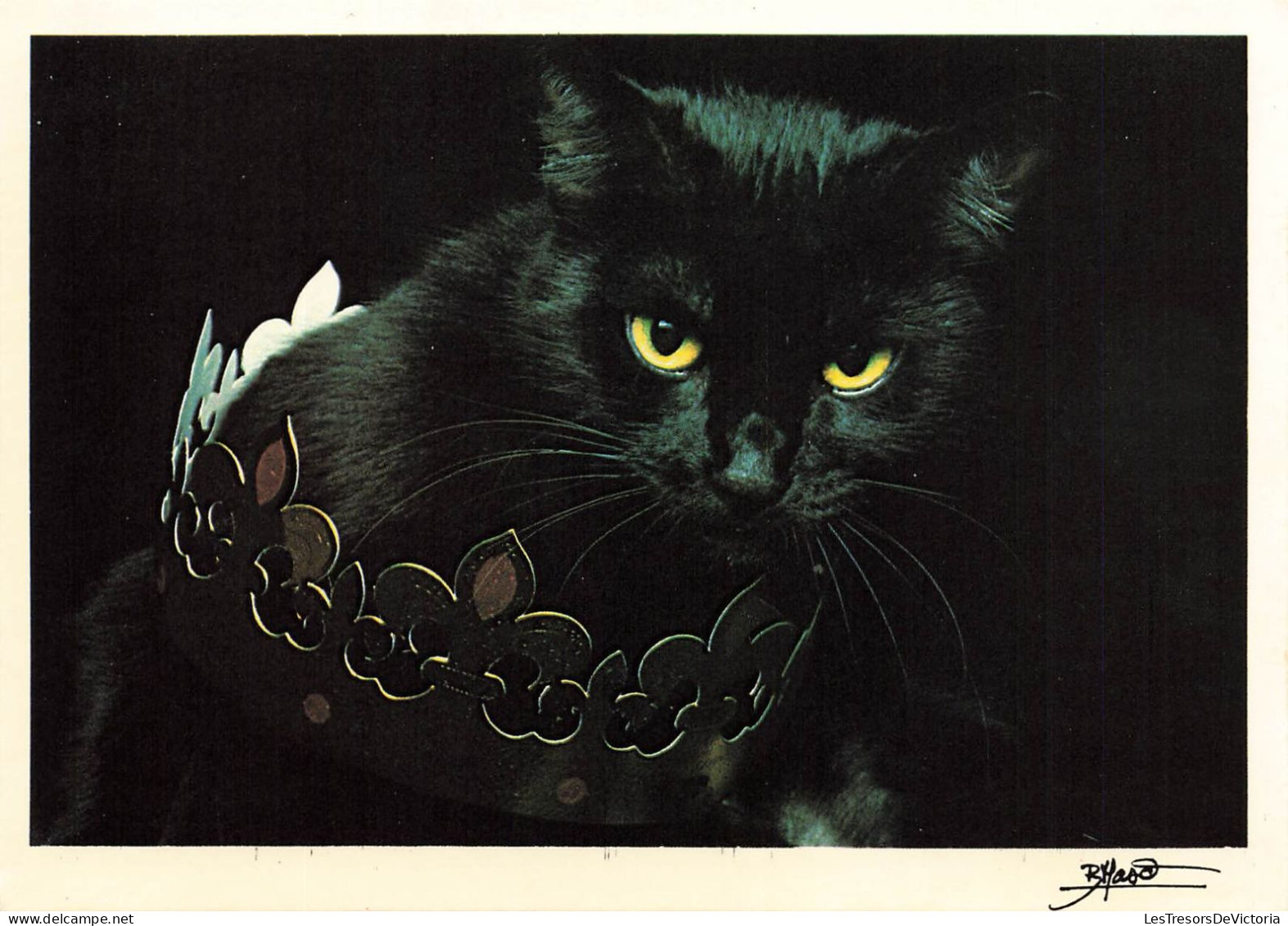 ANIMAUX ET FAUNES - Un Chat Noir Au Regard Perçant Avec Une Couronne - Colorisé - Carte Postale Ancienne - Cats