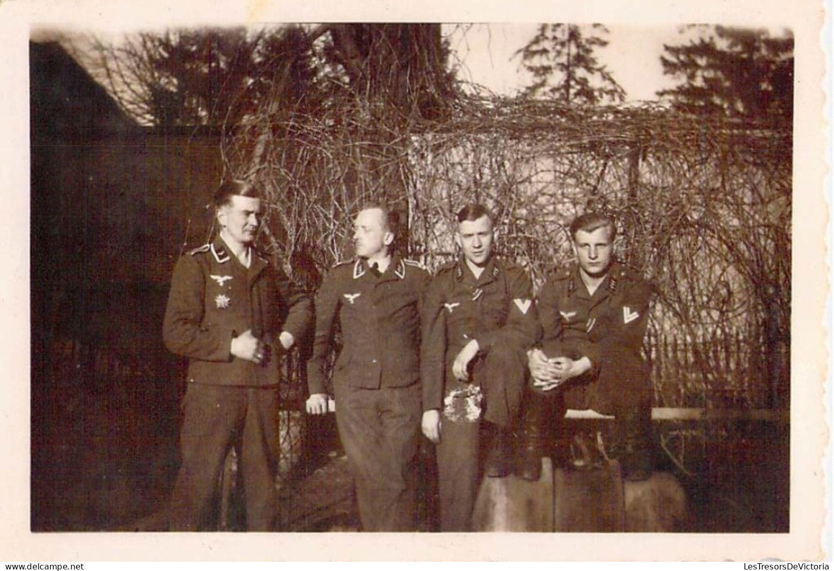 Photographie - Militaire - Soldats - Lote de 10 photos - Format 6/8,5 - Bords dentelés