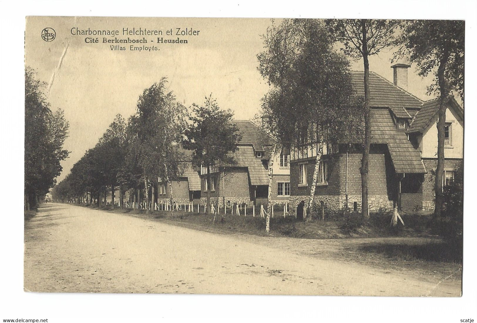 Heusden.   -   Charbonnage Helchteren Et Zolder.   Cité Berrkenbosch  -  Villas Employés.  -  1932  Naar  Overmere - Heusden-Zolder