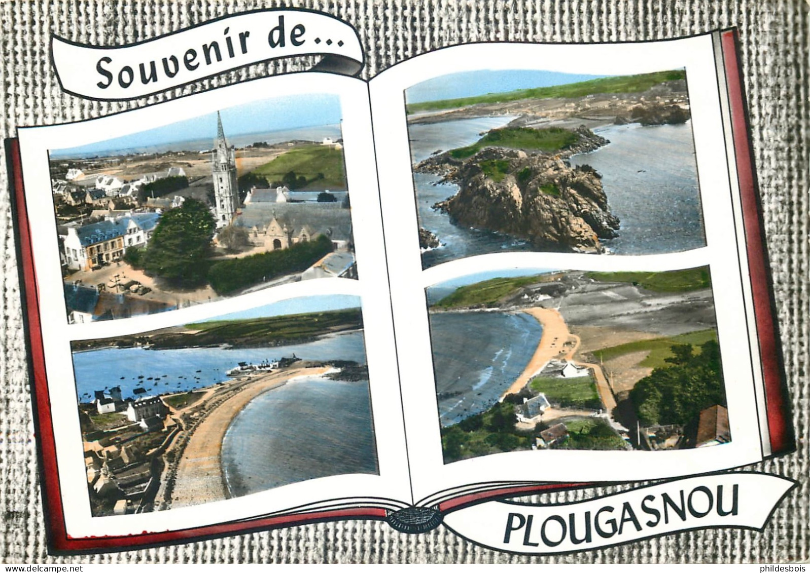 FINISTERE  PLOUGASNOU  Souvenir De ...  (cpsm) - Plougasnou