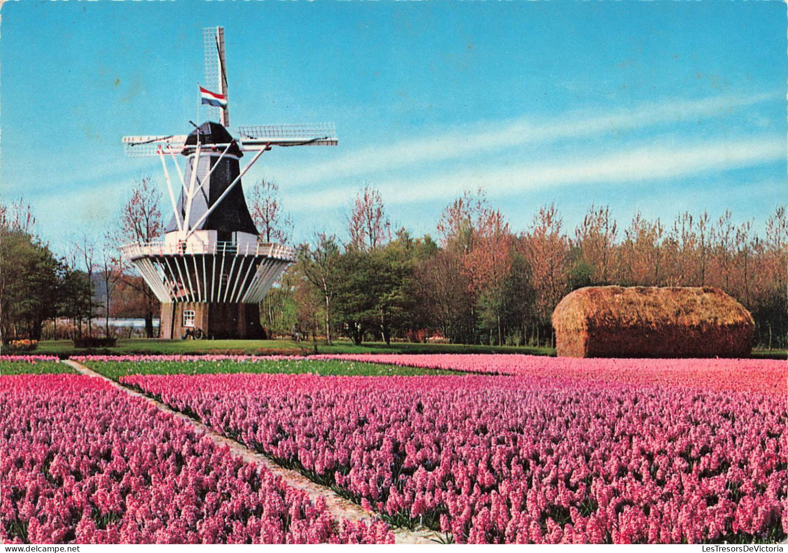 PAYS BAS - Hollande -  Pays Des Moulins Et Des Fleurs - Colorisé - Carte Postale - Andere & Zonder Classificatie